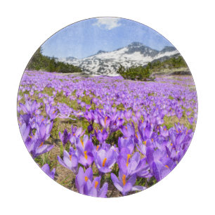 Planche À Découper Fleurs   Parc de montagne de Crocus Pirin Bulgarie