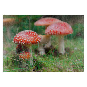 Planche À Découper Fly Agaric Dans Une Forêt, Photo Closeup