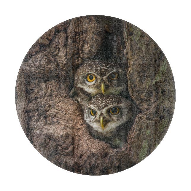 Planche À Découper Forest | Deux Owls Looking (Devant)