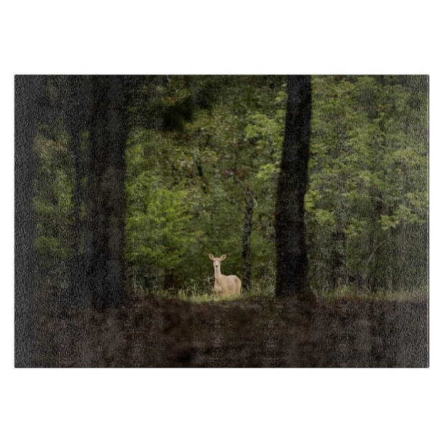 Planche À Découper Forests | A White Tailed Deer in the Woods (Devant)