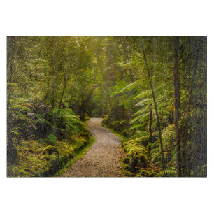 Planche À Découper Forêt   Chemin De Marche Dans La Forêt