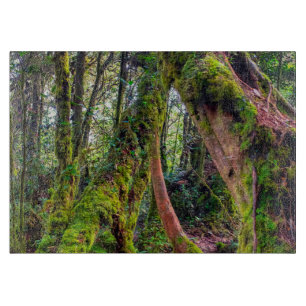 Planche À Découper Forêt moussue