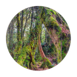 Planche À Découper Forêt moussue