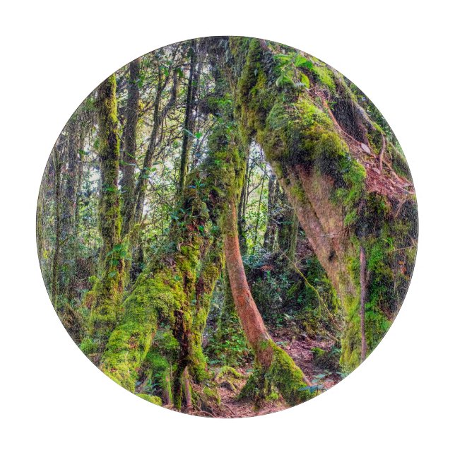 Planche À Découper Forêt moussue (Devant)