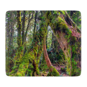 Planche À Découper Forêt moussue