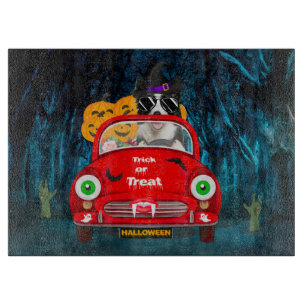 Planche À Découper Frontière Collie Chien Conduite Voiture Effrayant 