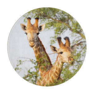 Planche À Découper Girafes dépassant la végétation