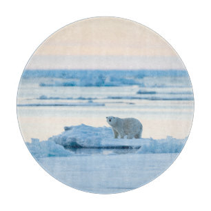 Planche À Découper Glace et neige   Ours polaire Iceberg Norvège