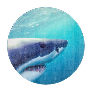 Planche À Découper Grand requin blanc Afrique du Sud