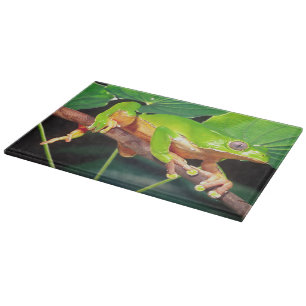Planche À Découper Grenouille arboricole singe bicolore, Phyllomedusa