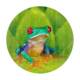 Planche À Découper Grenouille aux yeux rouges, Costa Rica