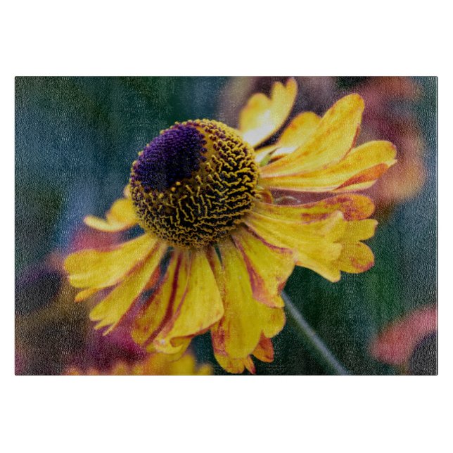 Planche À Découper Helenium jaune vif avec centre violet (Devant)