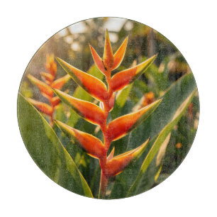 Planche À Découper Heliconia Orange Tropical Fleur Heure Dorée 