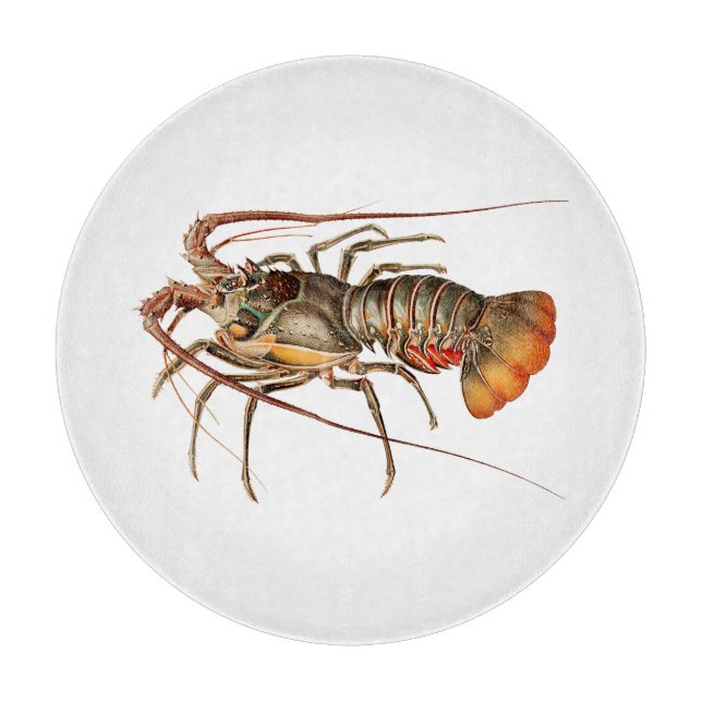 Planche À Découper Homard de roche - Panulirus Regis (Devant)