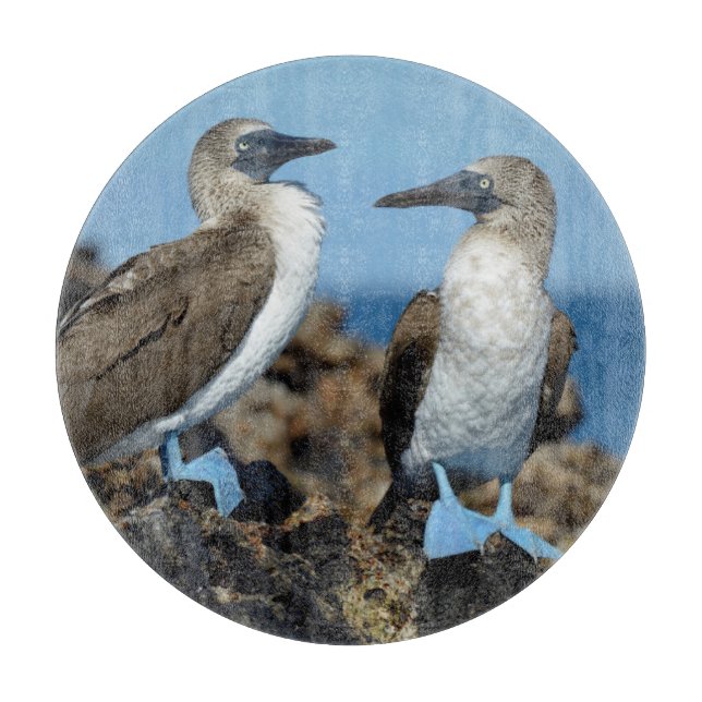 Planche À Découper Îles de Galapagos, île d'Isabela (Devant)
