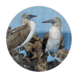 Planche À Découper Îles Galapagos, île Isabela