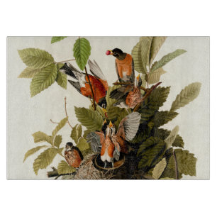 Planche À Découper Illustration Audubon American Robin Wildlife Bird