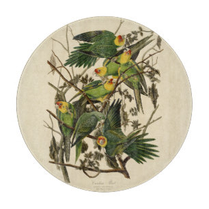 Planche À Découper Illustration Audubon Carolina Parrot Bird
