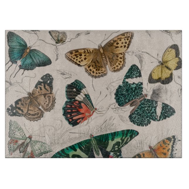 Planche À Découper Illustration de papillon antique : 1820 Orfèvre (Devant)