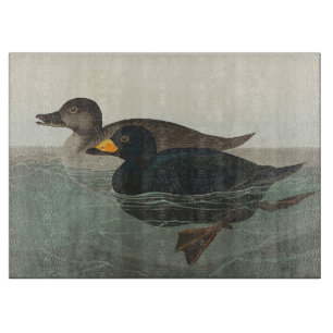 Planche À Découper Impression de Macreuse noire d'Audubon : Canard cô