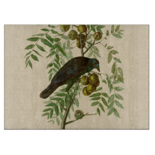 Planche À Découper Impression d'oiseau Grackle violet d'Audubon Botan