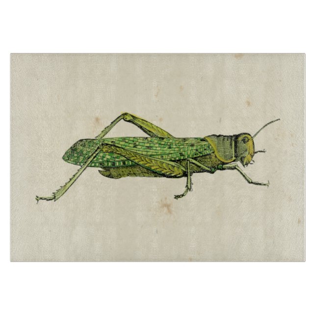 Planche À Découper Impression encadrée de sauterelles vertes (Devant)