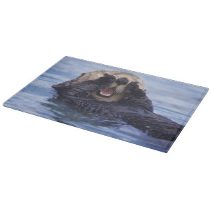 Planche À Découper Jolie loutre de mer Alaska, États-Unis