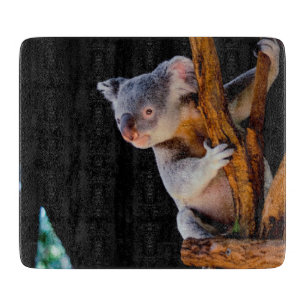 Planche À Découper Koala Cute en gris arbre