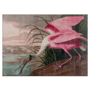 Planche À Découper La faune des oiseaux d'Audubon de Spoonbill Roseat