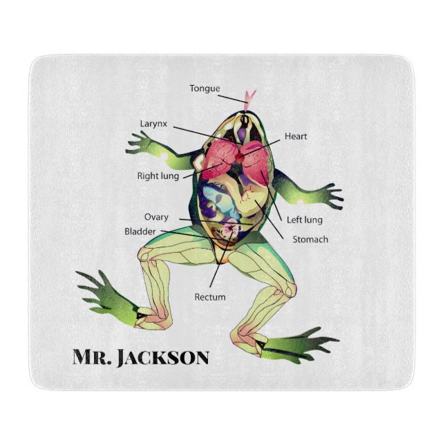 Planche À Découper L'anatomie de la grenouille Ajouter un nom (Devant)