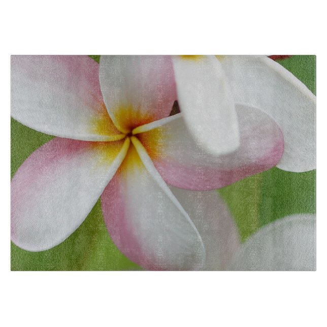 Planche À Découper Le Plumeria fleurit la fleur florale de Frangipani (Devant)
