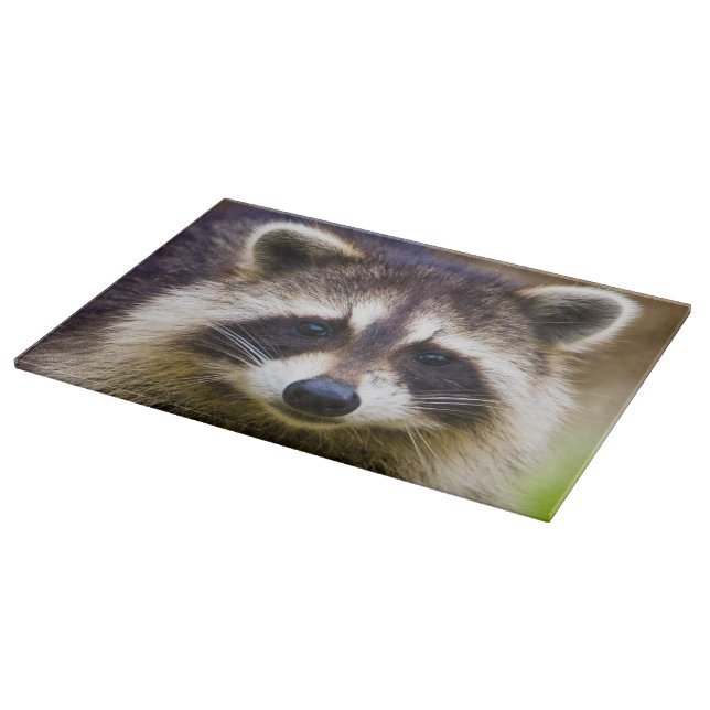 Planche À Découper Le raton laveur Procyon (Coin)