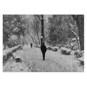 Planche À Découper Les gens dans le parc pendant la journée d'hiver