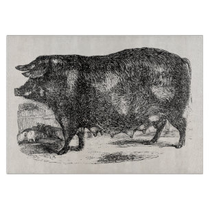 Planche À Découper Les porcelets domestiques vintages de porc ont