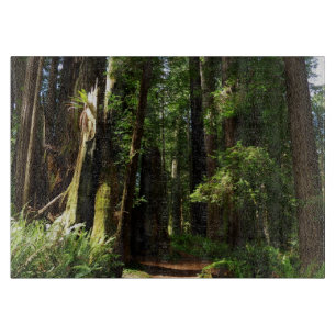 Planche À Découper Les séquoias et les fougères du parc national Redw