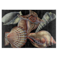 Les trésors de la mer