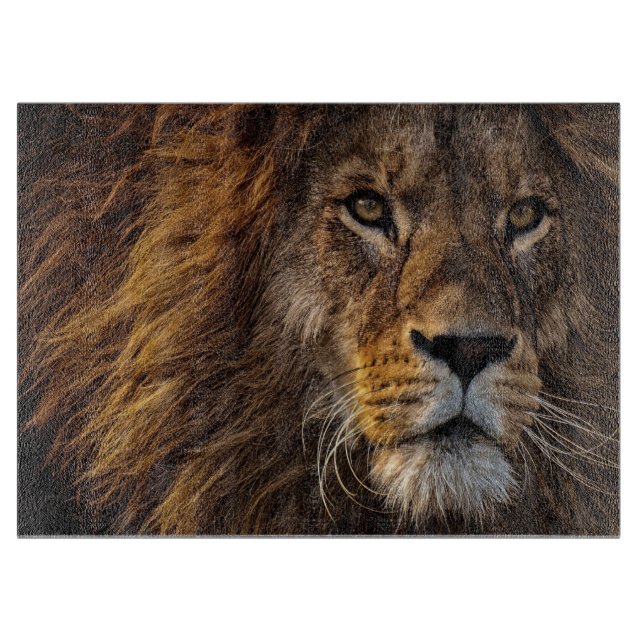 Planche À Découper Lion Predator Lion (Devant)