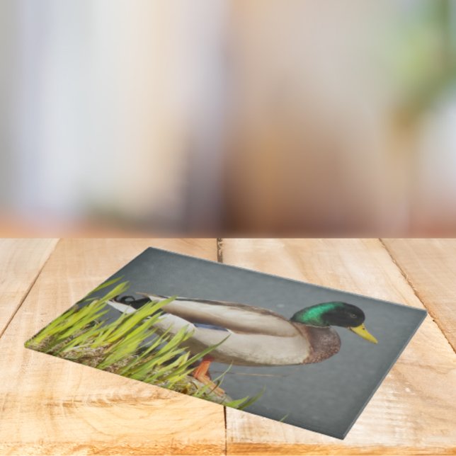 Planche À Découper Mallard Duck Faune Large (In Situ)