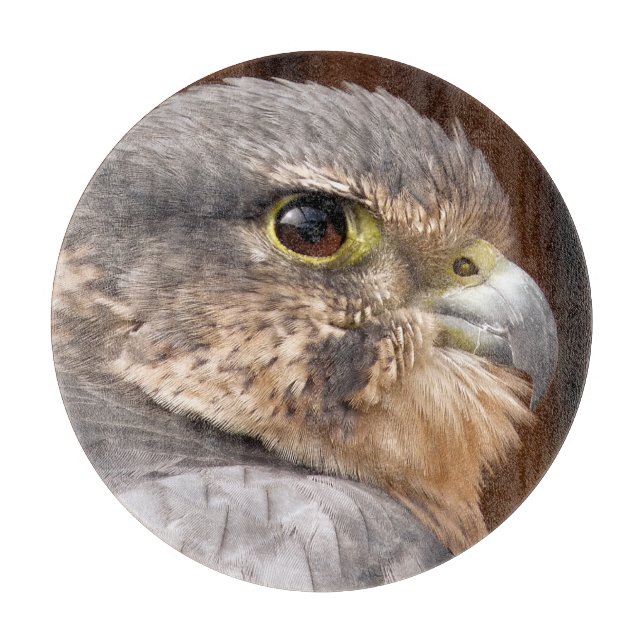 PLANCHE À DÉCOUPER MERLIN FALCON OISEAU DE PREY (Devant)