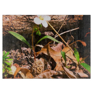 Planche À Découper Morel