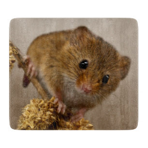 Planche à découper Mousie