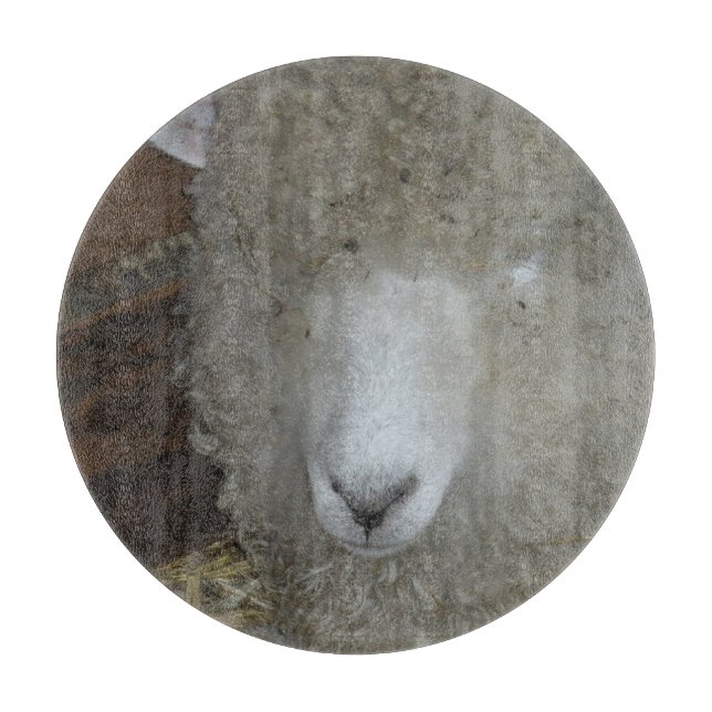 Planche À Découper Moutons à la foire du comté (Devant)