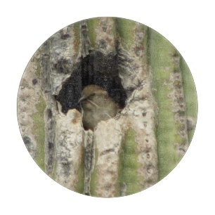 Planche À Découper Oiseau dans un nid de Saguaro