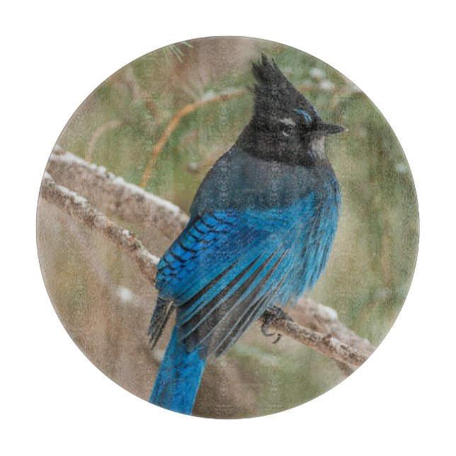 Planche À Découper Oiseau du geai de Steller dans l'arbre (Devant)