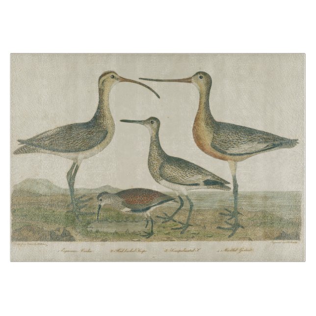 Planche À Découper Oiseaux de marais Courlis Oiseaux (Devant)