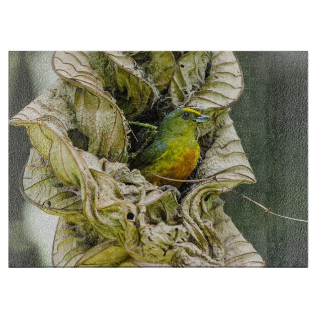 Planche À Découper Olive Backed Euphonia, Wildlife Avian Photography (Devant)