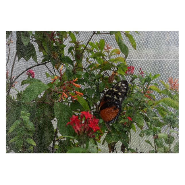 PLANCHE À DÉCOUPER ORANGE BUTTERFLY (Devant)