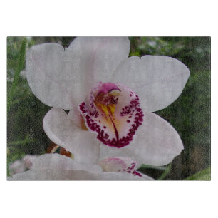 Planche À Découper Orchidée Blanche I Belle Fleur Tropicale