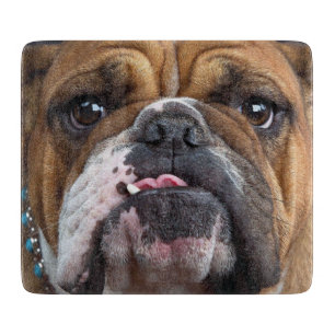 Planche À Découper Oreillers à lancer de Bulldog anglais