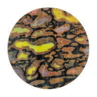 Os de dinosaure multicolore